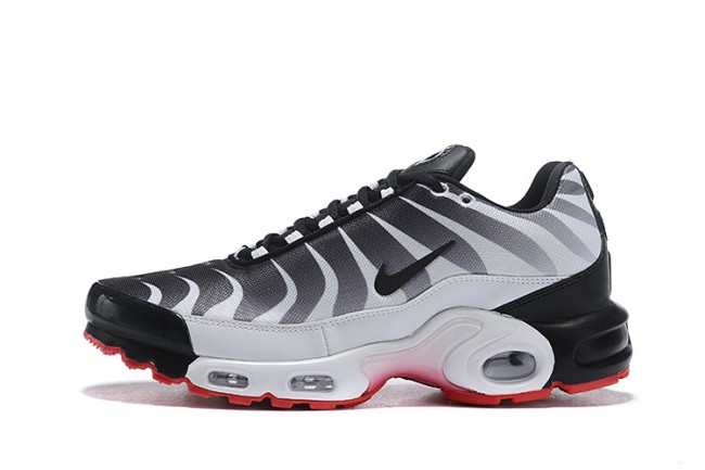 nike tn blanche et noir