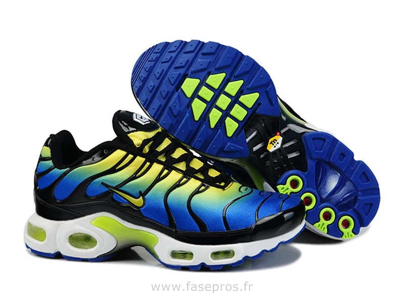 nike tn couleur